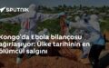 Ebola salgını