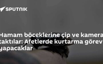 Paraborg