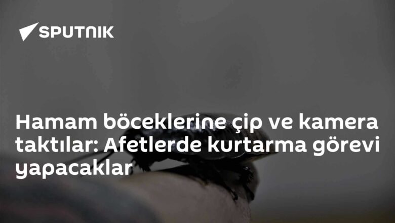Paraborg
