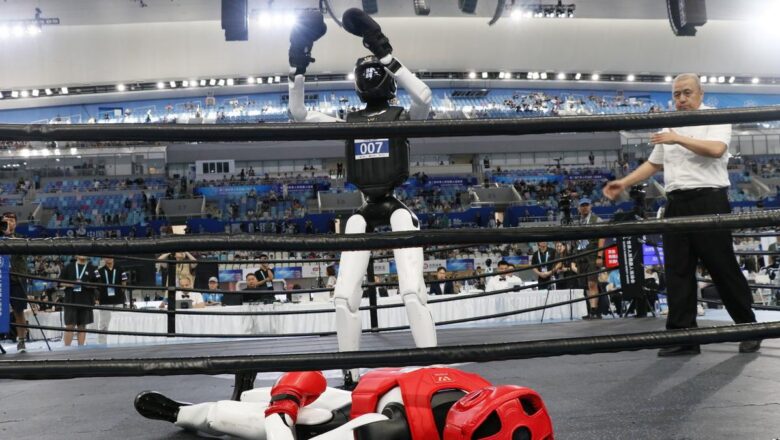 insansı robot
