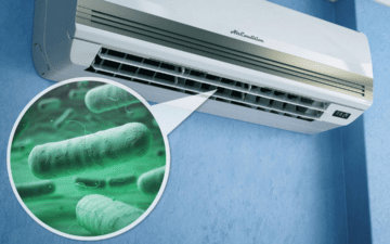 Klimalardan Yansıyan Tehlike