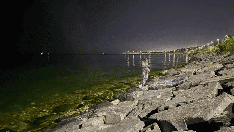 Denize Düşen Balıkçı