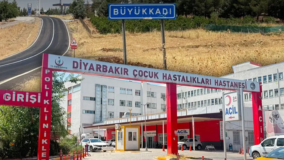 kedi kuduz