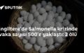 İthal yumurtalar