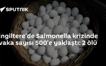 İthal yumurtalar
