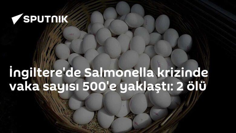 İthal yumurtalar