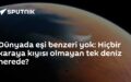 Sargasso Denizi