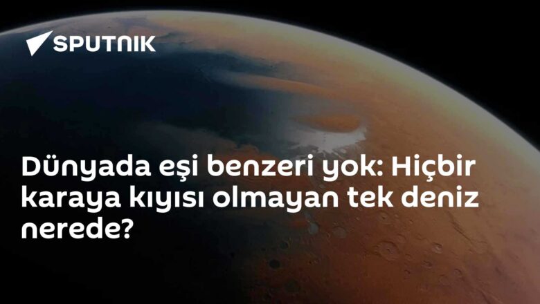 Sargasso Denizi