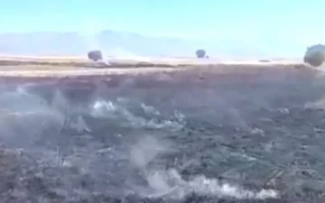 anız